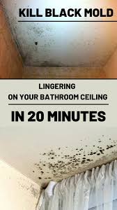 There are a couple of ways to prevent the black mold growth on your bathroom ceiling. Kill Black Mold Lingering On Your Bathroom Ceiling In 20 Minutes Cleaninginstructor Com