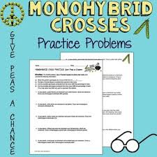 Freebie Monohybrid Cross Practice Problems Give Peas A Chance Give Peas A Chance Life Science Lessons Biology Lessons