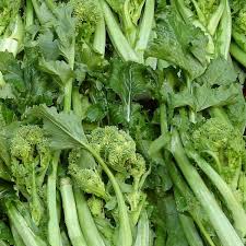 We did not find results for: Cime Di Rapa Azienda Agricola Russo Angelo