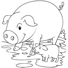 Baby pig laughing coloring page to color, print and download for free along with bunch of favorite pig coloring page for kids. Top 20 Free Printable Pig Coloring Pages Online