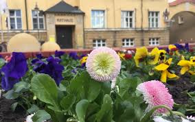 Weitere bauen, wohnen & garten geschäfte in leipzig. Taucha Bluht Schon Auf