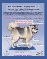 Typically, the very first thing you want to do is to help a person who feels a seizure onset by getting them water. Paws4purple Purple Day Every Day