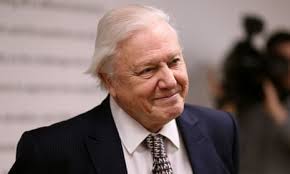 Sir David Attenborough says he is fearful for 'vulnerable' BBC | BBC | The  Guardian