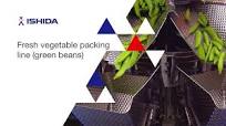 Fresh vegetable packing line (green beans)