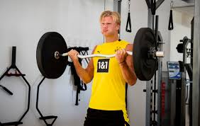 Erling braut haaland, professionally known as erling haaland is a norwegian professional football player. Kev On Twitter Bei Der Geburt Getrennt Erling Haaland Und Dolph Lundgren Bvb
