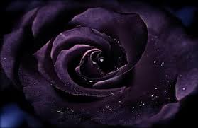 Check spelling or type a new query. Hd Deep Purple Wallpapers Peakpx