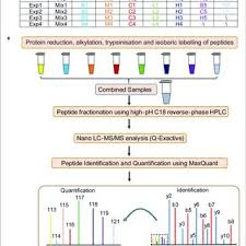 Flow Chart Of The Proteomic Analysis B Blank Group Saline