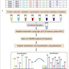 Flow Chart Of The Proteomic Analysis B Blank Group Saline