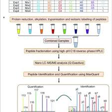 flow chart of the proteomic analysis b blank group saline