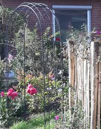Von der planung bis zur pflege alles aus „einer hand. Gartenbau Fur Kiel Hamburg Umgebung 1569223434s Webseite