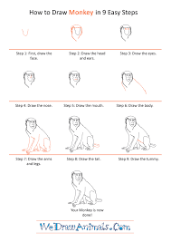 How To Draw A Realistic Monkey