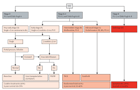 Hepatocellular Carcinoma Hcc Nord National Organization