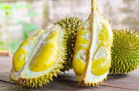 We did not find results for: 12 Local Malaysia Fruits To Add In Your Diet For Healthy Skin And Body