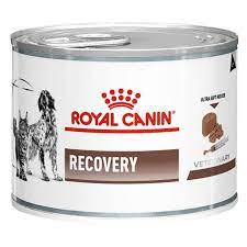 Treats members receive free shipping on orders over $49.00, prior to taxes & after discounts are applied. Royal Canin Recovery Veterinary Diet Fur Katzen Zooplus