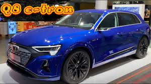 Image result for Navarra Blue 2024 Q8