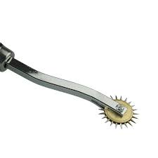 Wartenberg Wheel For Bondage