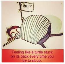 Third Trimester Funny Quotes Quotesgram