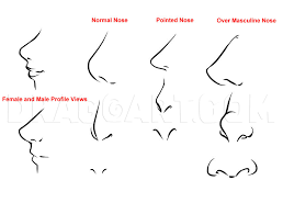 I have been requested to do a step by step tutorial on how to draw female anime characters so here it is 3) draw 3 lines across the head, for the positioning of the eyes, nose and mouth. How To Draw Anime Noses Step By Step Drawing Guide By Dawn Dragoart Com