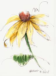 Pin On Cone Flowers