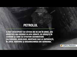 Produsele Petroliere Tatiana Vataman