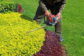 The #1 Shrub Trimming Provider | Victory Lawnscape