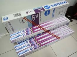 Teknologi pencahayaan memberikan inovasi baru dengan kecanggihan teknologi lampu led (light emited diode). Lampu Tl Led Ecofit T8 8watt Philips Toko Sumber Lampu