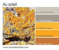 Cette Harmonie Contemporaine Ensoleillera Et Rechauffera Les Espaces De Vie Particulierement S Ils Sont Prives Couleur Association Couleur Nuancier Peinture