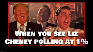 Meme generator to caption meme images or upload your pictures to make custom memes. Politics Rino Memes Gifs Imgflip