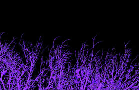 Light blue and white collage with random quotes and pictures made to fit a laptop wallpaper! Dark Purple Aesthetic Laptop Wallpapers Top Free Dark Purple Aesthetic Laptop Backgrounds Wallpaperaccess