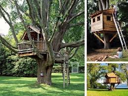 Come Costruire Una Casetta Sull Albero Con Il Fai Da Te Rubriche Infoarredo Arredamento E Design Per La Design Casa Sull Albero Casa Sull Albero Casette