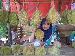 Katanya kalau terlalu lama dibiarkan terbuka nanti. Berburu Durian Cikakak Sampai Ngakak Di Sukabumi Discovery Pangandaran