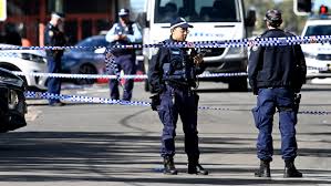 Bodies are piling up in a cocaine war fuelled by Sydney's rich