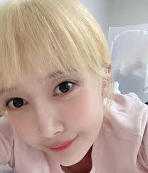 책용 비옷 입은 댕댕이