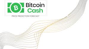 If my bitcoin price prediction is wrong i use set amount of risk vs reward so being wrong will. Bitcoin Cash Price Prediction Forecast 2021 2025 Cryptona
