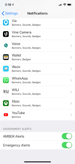 By default, all these government alerts are enabled, including amber, emergency, and public safety alerts. Presidential Alert How To Turn Off Other Wireless Emergency Alarms