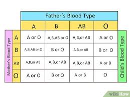 how to determine your blood type testing at home or