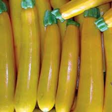 Maybe you would like to learn more about one of these? Starting Satisfying Courgettes Diary Of A Brussels Kitchen Garden