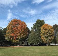 Best camping in long island on tripadvisor: Escape The City By Beach Camping On Long Island