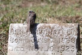 It was established in 1863 by a group of east bay. What Bird Is This Mountain View Cemetery Oakland California Whatsthisbird