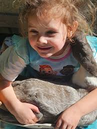 How to help a duck with a potential back injury?