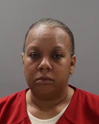 SANDEFUR, RAINA MICHELLE Charges: SECOND DEGREE MURDER AND DELIVERY OF A  CONT. SUBSTANCE/CAPIAS This information and more is available at  https://sheriff.knoxcountytn.gov