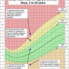 Easy step by step examples are given to help you determine your weight status. Calculating Your Child S Body Mass Index Bmi