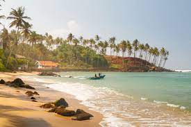 You can easily combine relaxation sessions on the beach with visits to the numerous sights. Top Five Beaches In Sri Lanka Insight Guides