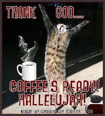 Thank God Coffee S Ready Hallelujah Cat Meme Coffee Quote Coffee Quotes Coffee Humor Coffee