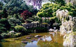 Hakone Estate Gardens Home Japanese Garden Beautiful Gardens Beautiful Places