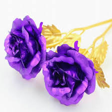Check spelling or type a new query. Unique Gifts Purple Gold Dipped Rose Forever Love 25 8cm 24k Gold Plated Rose With Fancy Gift Box Gold Dipped Roses Gold Plated Rosedipped Roses Aliexpress