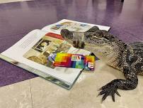 West Pearland - School Age: Texas Reptiles
