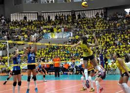 Check spelling or type a new query. Selecao De Volei Feminino Derrota Holanda Em Natal