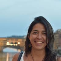 Maria Constanza Araya Oyanedel