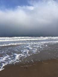 Hartlepool ⭐ , united kingdom, hartlepool, hartlepool: Hartlepool Beach Nature Reserve Walk Trail England Pacer